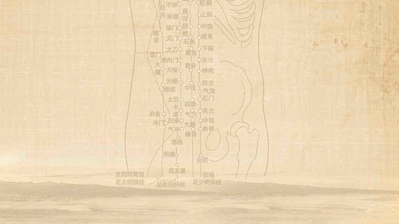 艾灸拔罐，养生馆里的传统与现代