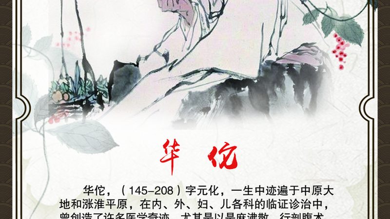 膏方与汤药：中医养生中的双璧，如何辨析与选用
