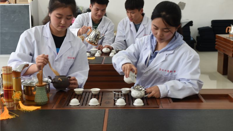拔罐器硅胶与真空负压：揭秘两种拔罐技术的差异